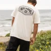 Camiseta de manga corta Scenic Arch Adiv Premium Shorts