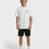 Camiseta de manga corta Scenic Arch Adiv Premium Shorts