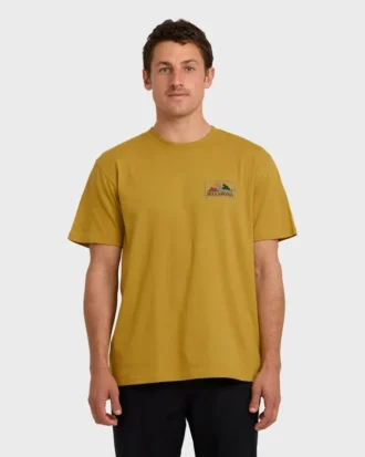 Camiseta de manga curta da linha A/Div Shorts